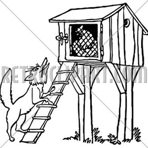 Fox At The Chicken Coop