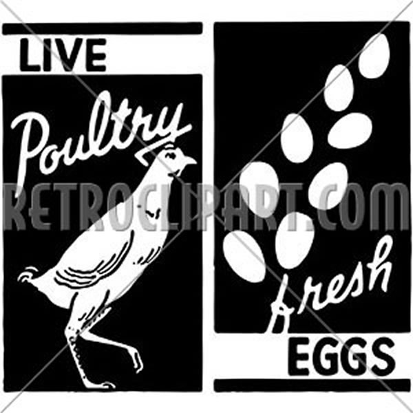 Live Poultry