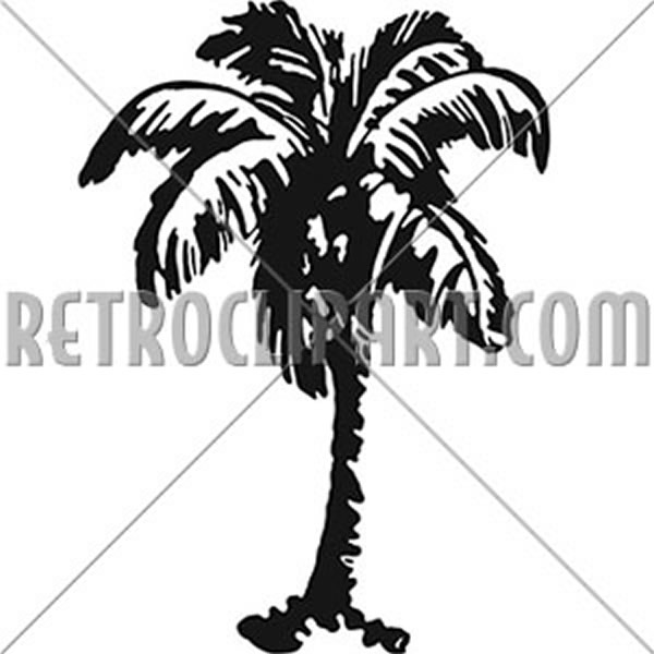 Palm Tree 2