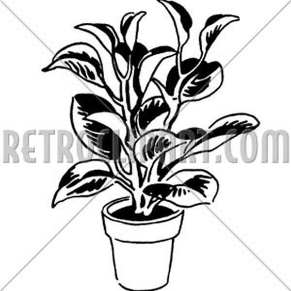 Plant 3