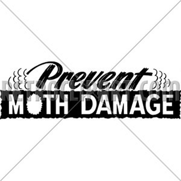 Prevent Moth Damage