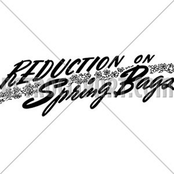 Reduction On Spring Bags