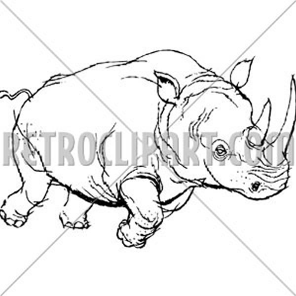 Rhino