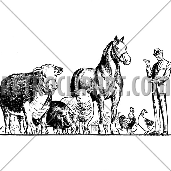 Selling Livestock